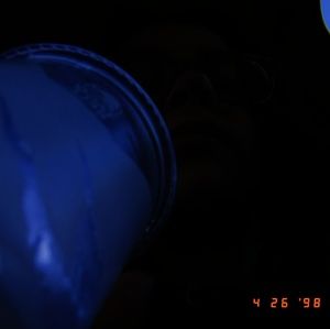 Meet your Posher, Bella